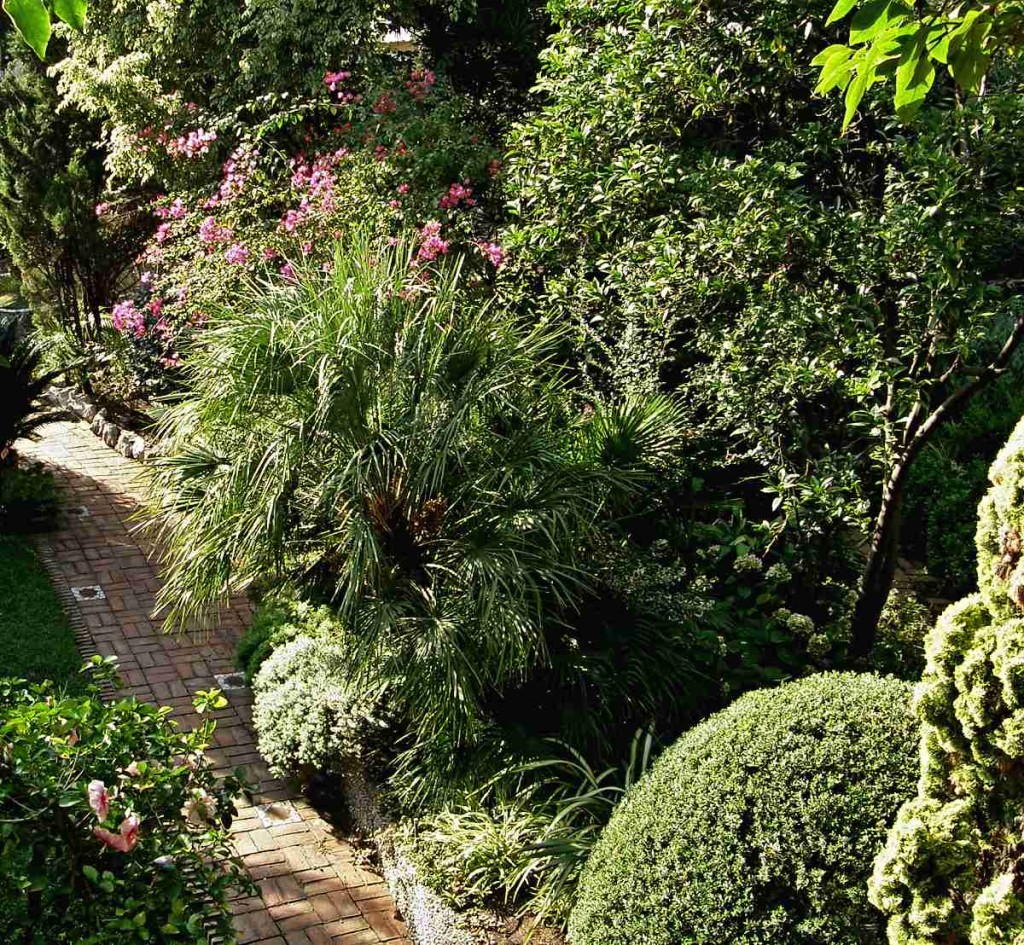 Zahrada ve stylu Azurového pobřeží 