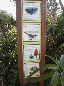 Gibraltar - Alameda Botanic Garden