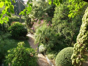 Gibraltar - Alameda Botanic Garden